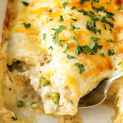 Sour Cream Chicken Enchiladas Recipe
