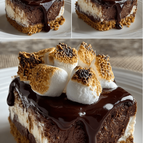 S'mores Cheesecake Delights